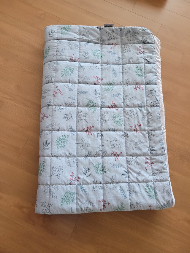 이미지를 찾을 수 없습니다.