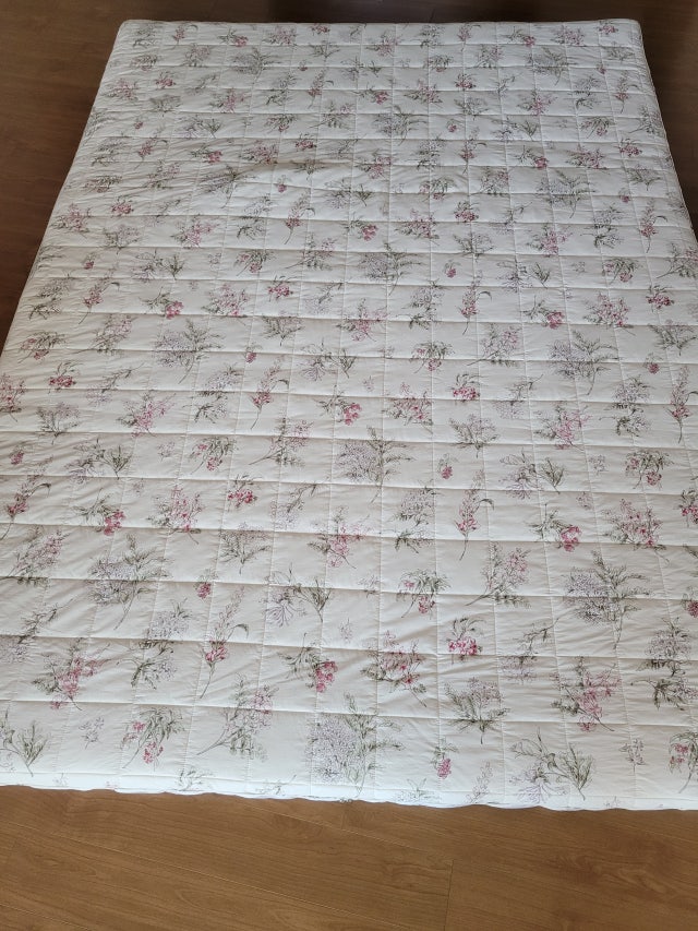 이미지를 찾을 수 없습니다.