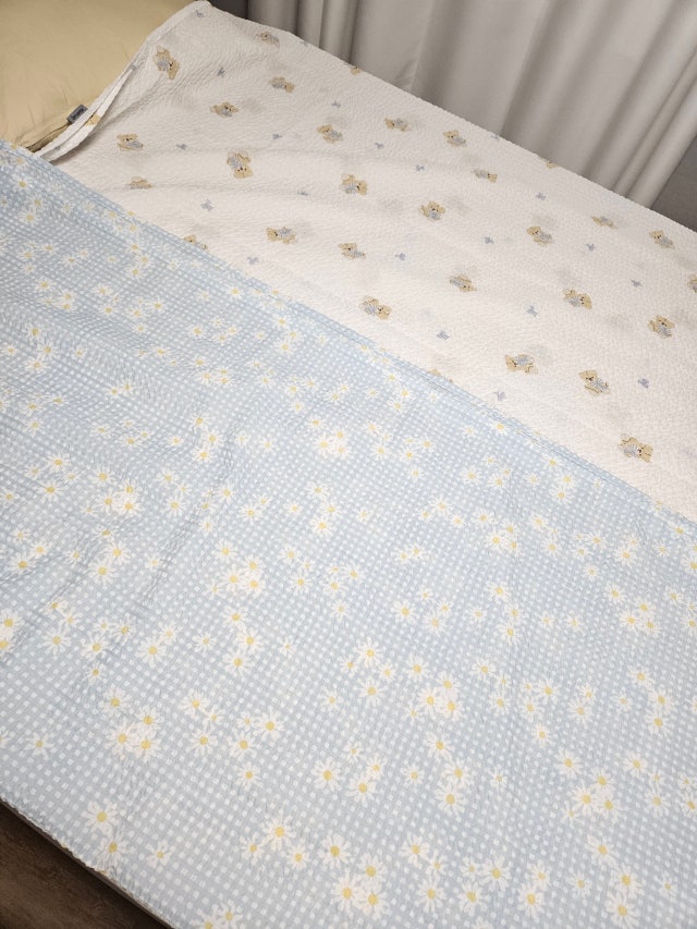 이미지를 찾을 수 없습니다.