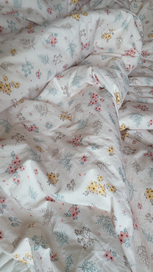 이미지를 찾을 수 없습니다.