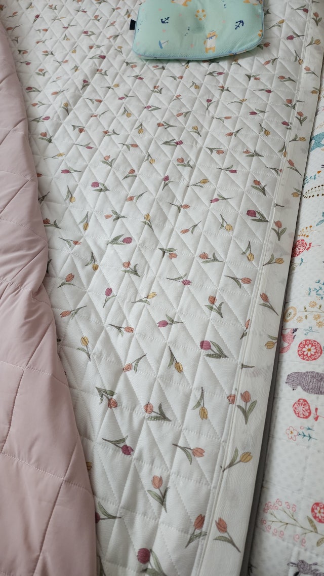 이미지를 찾을 수 없습니다.