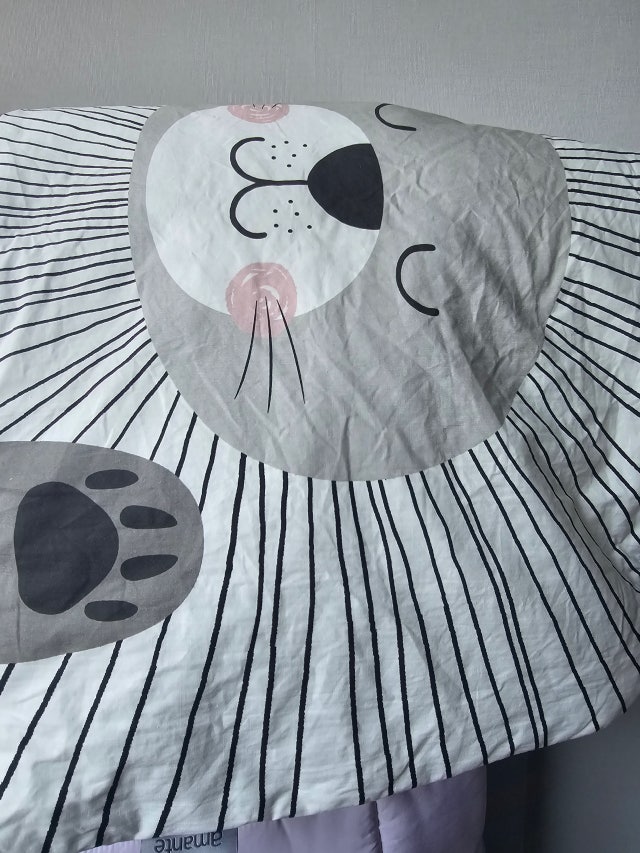 이미지를 찾을 수 없습니다.