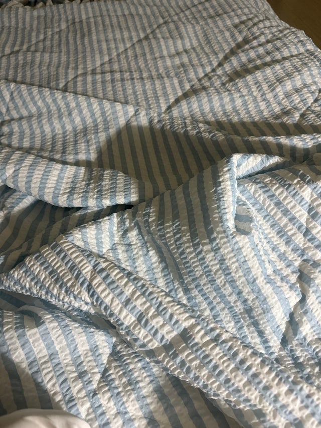 이미지를 찾을 수 없습니다.