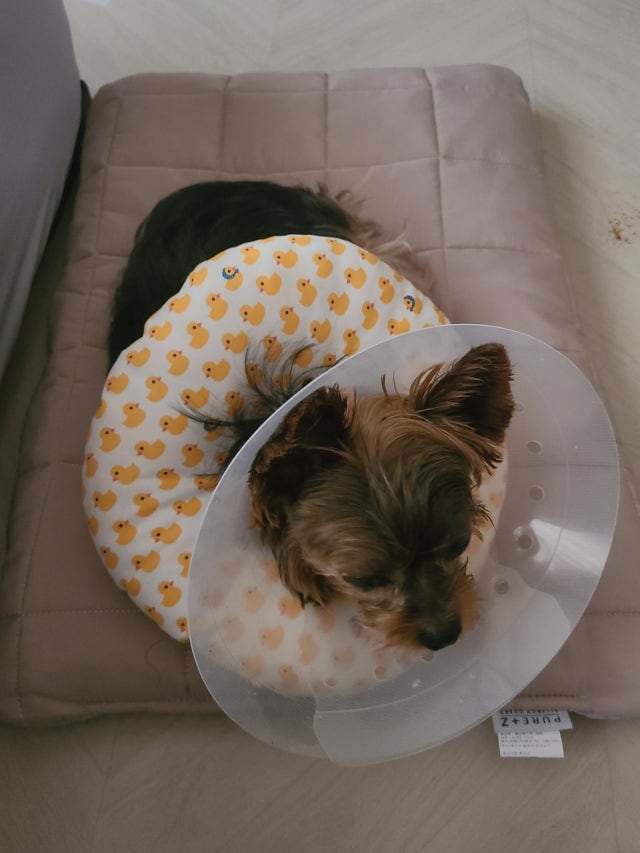 이미지를 찾을 수 없습니다.