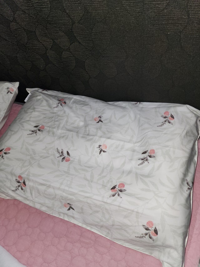 이미지를 찾을 수 없습니다.