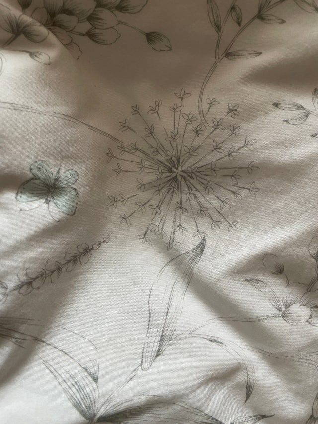 이미지를 찾을 수 없습니다.