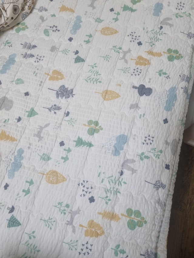 이미지를 찾을 수 없습니다.