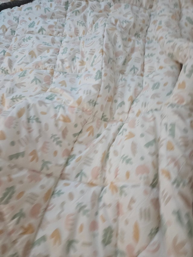 이미지를 찾을 수 없습니다.