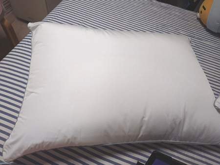 이미지를 찾을 수 없습니다.