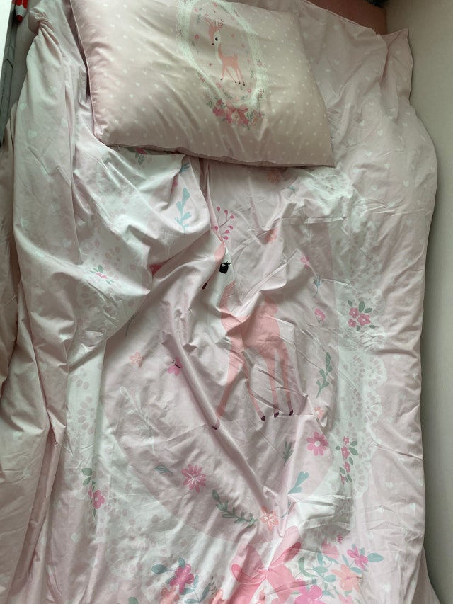 이미지를 찾을 수 없습니다.