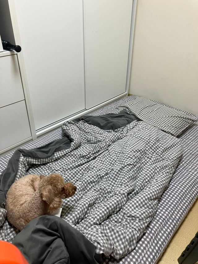 이미지를 찾을 수 없습니다.