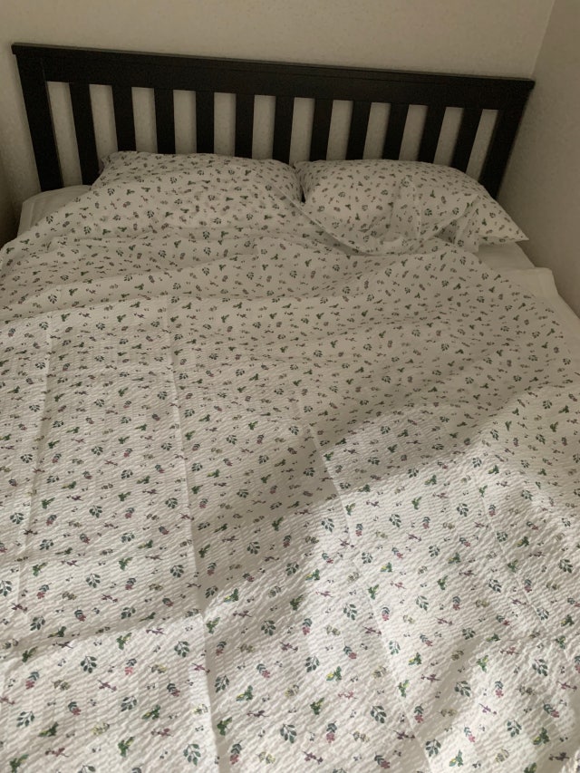 이미지를 찾을 수 없습니다.