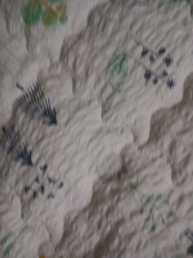 이미지를 찾을 수 없습니다.