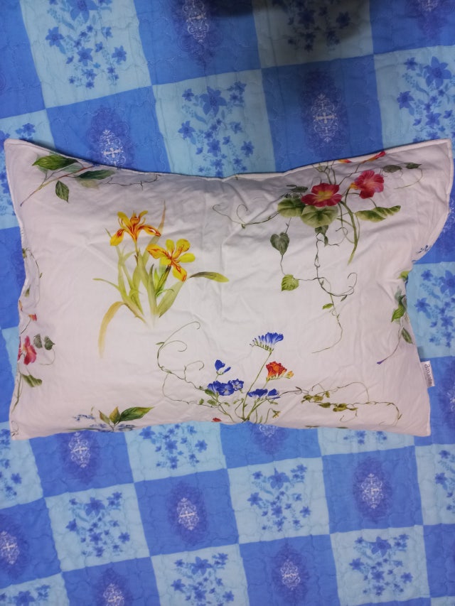 이미지를 찾을 수 없습니다.