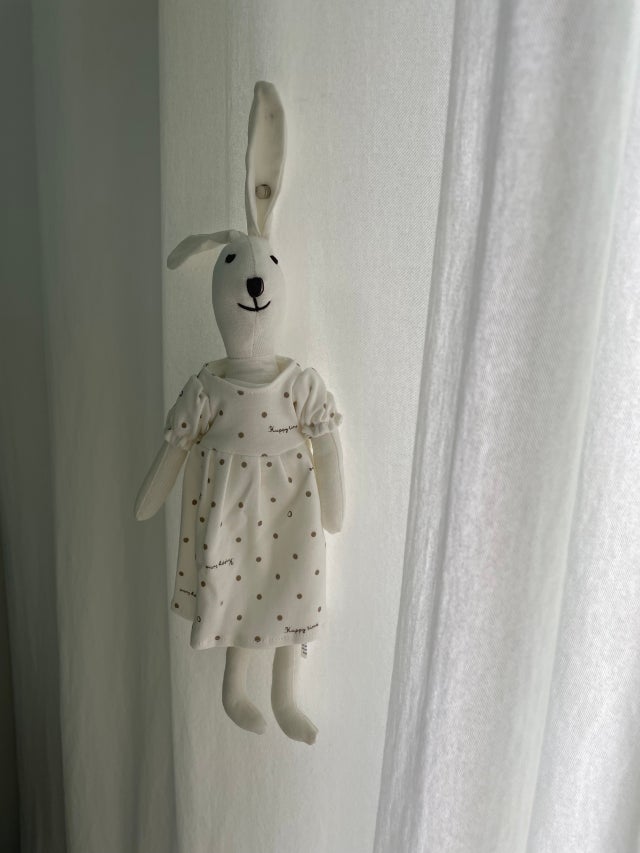 이미지를 찾을 수 없습니다.