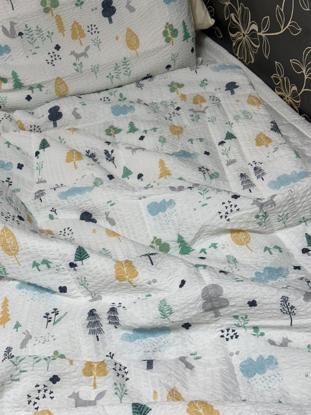 이미지를 찾을 수 없습니다.