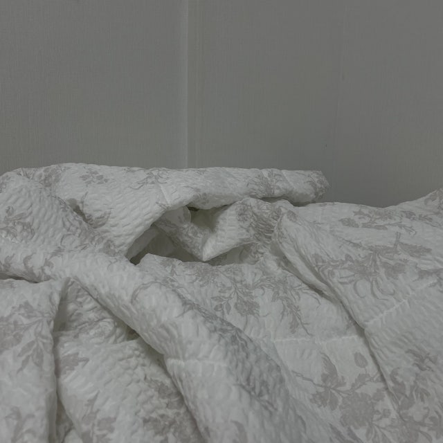 이미지를 찾을 수 없습니다.