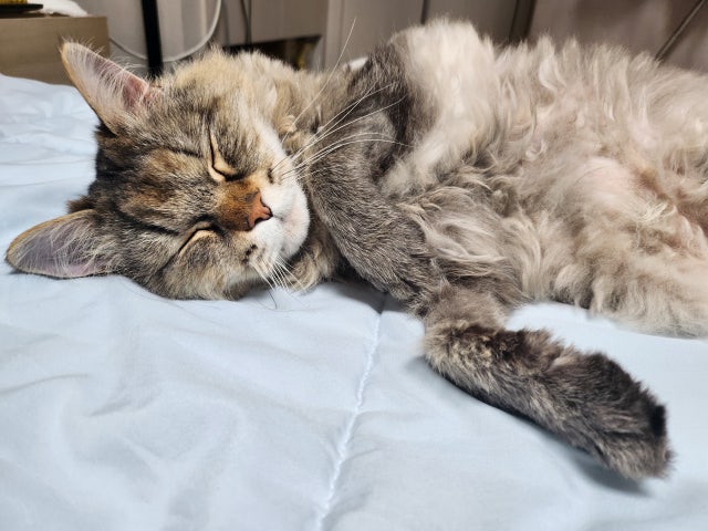 이미지를 찾을 수 없습니다.