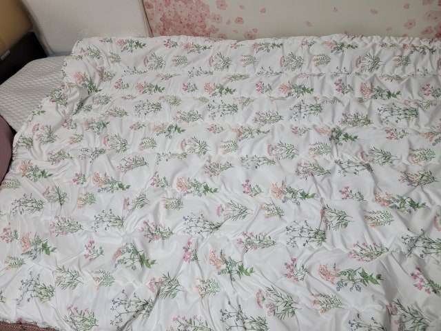 이미지를 찾을 수 없습니다.