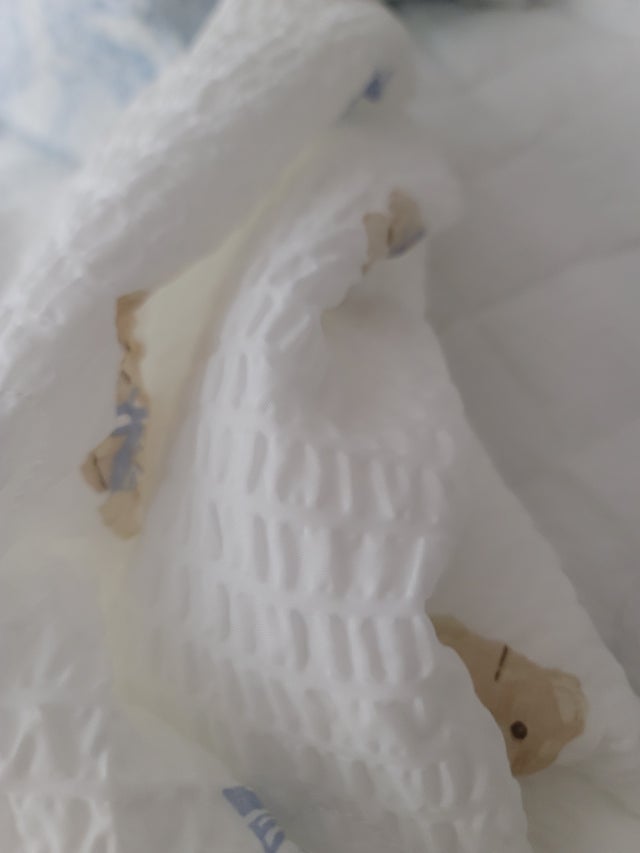 이미지를 찾을 수 없습니다.