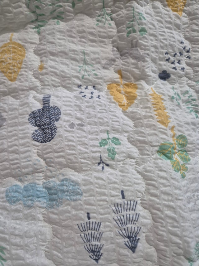 이미지를 찾을 수 없습니다.