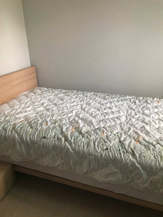 이미지를 찾을 수 없습니다.