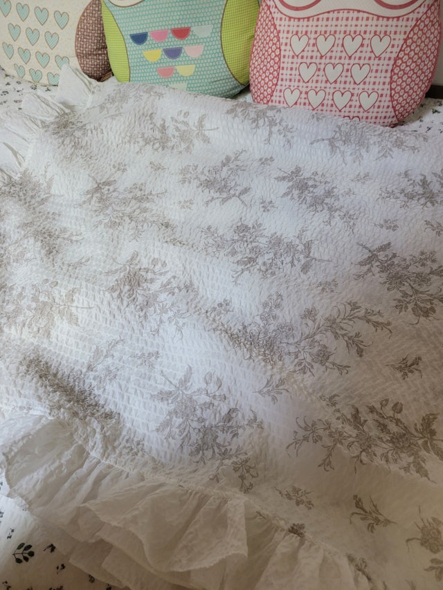 이미지를 찾을 수 없습니다.