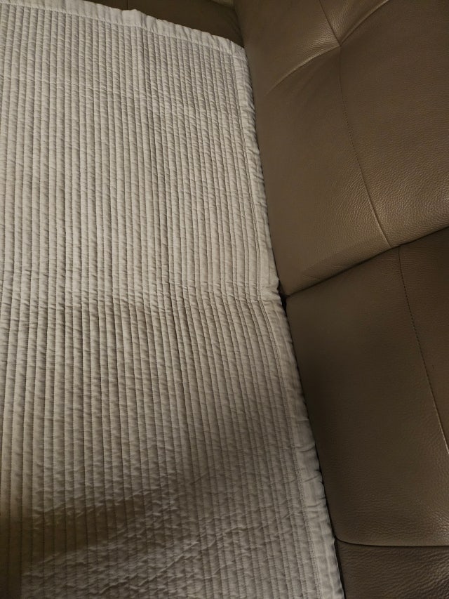 이미지를 찾을 수 없습니다.