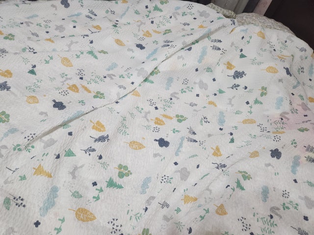 이미지를 찾을 수 없습니다.