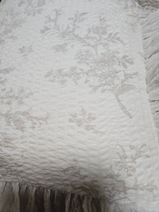 이미지를 찾을 수 없습니다.