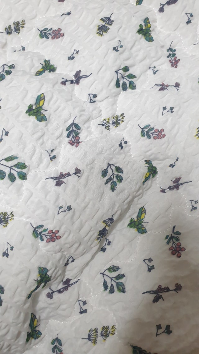 이미지를 찾을 수 없습니다.