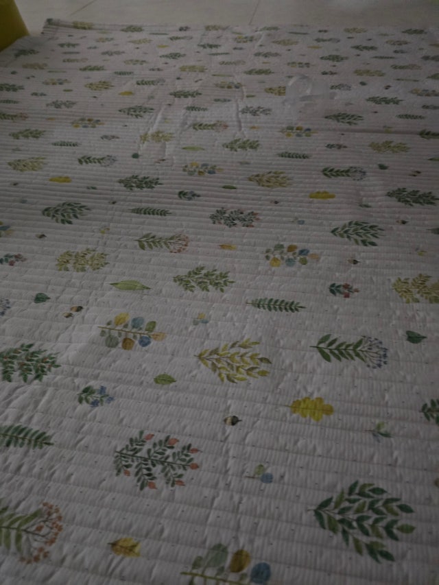 이미지를 찾을 수 없습니다.