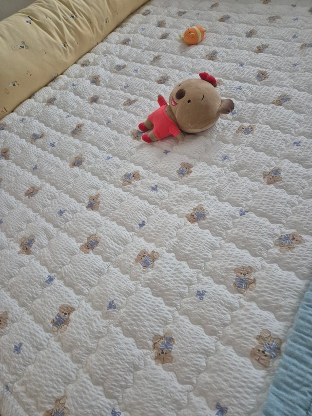 이미지를 찾을 수 없습니다.