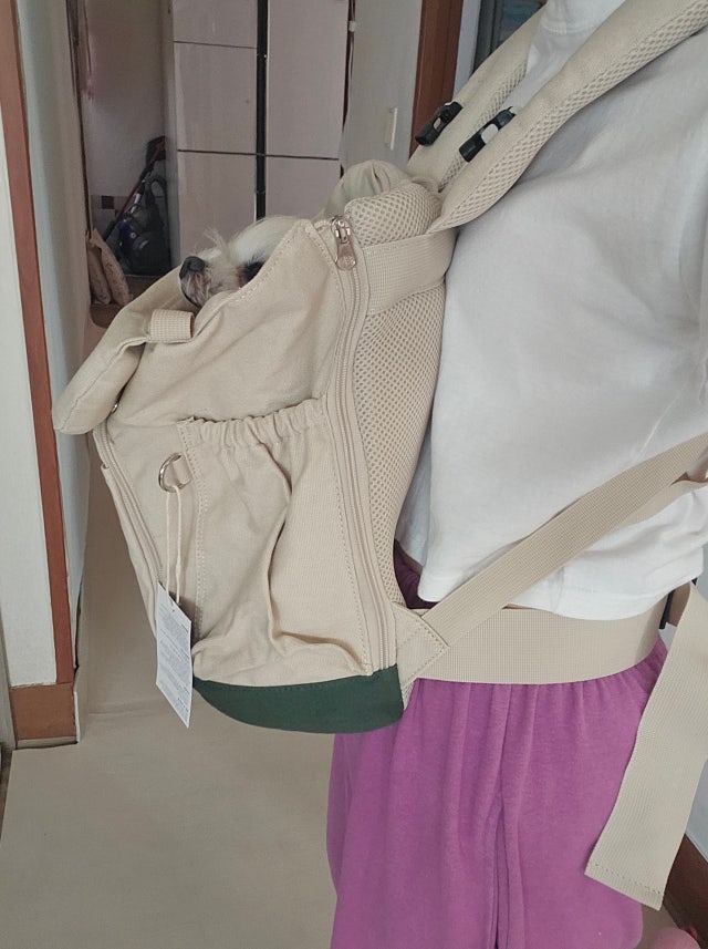 1000019809.jpg?type=w640