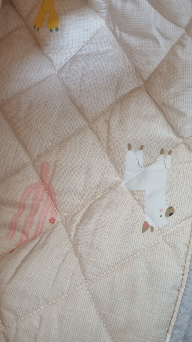 이미지를 찾을 수 없습니다.