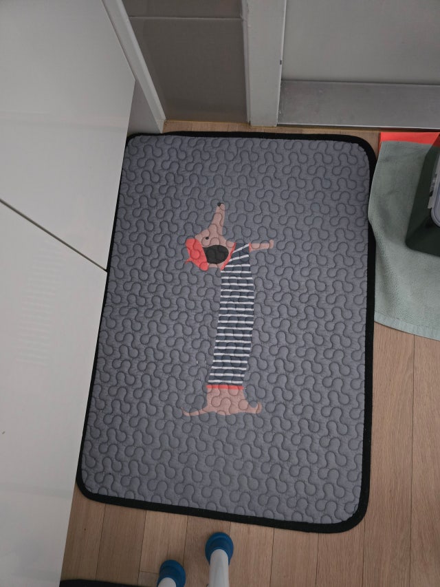 이미지를 찾을 수 없습니다.