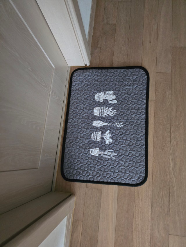 이미지를 찾을 수 없습니다.