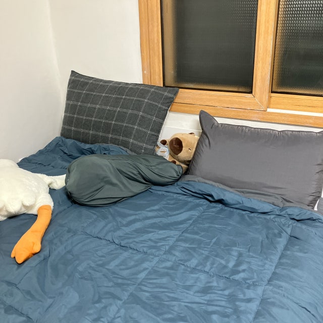 이미지를 찾을 수 없습니다.