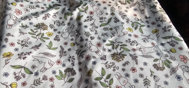 이미지를 찾을 수 없습니다.