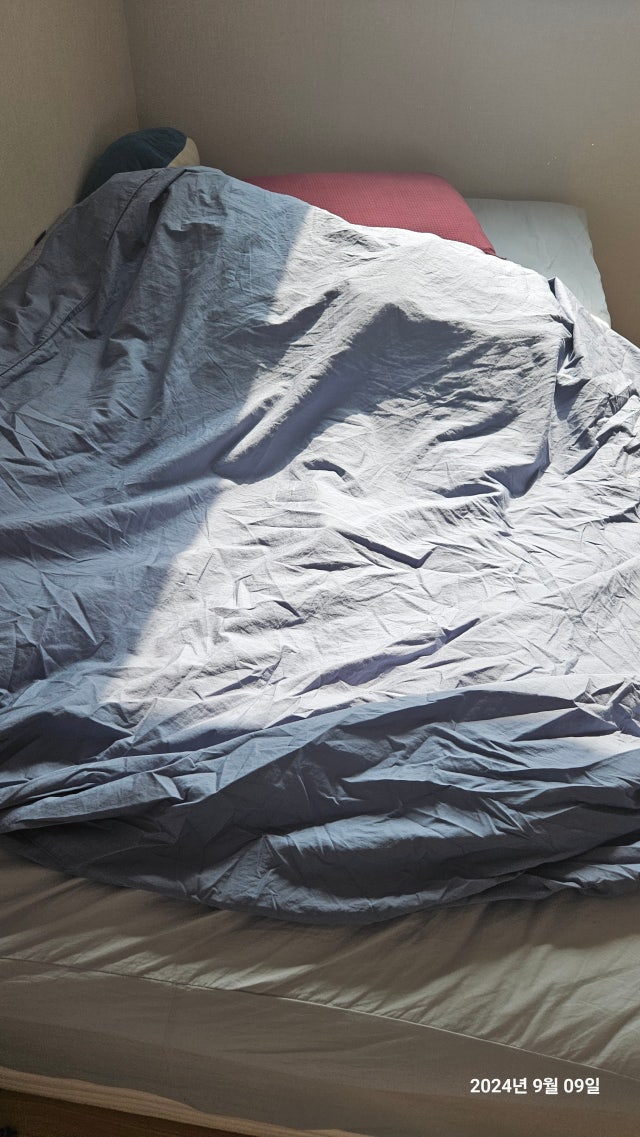 이미지를 찾을 수 없습니다.