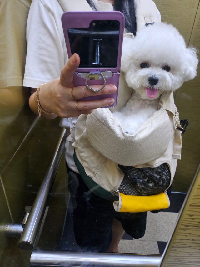 1000005095.jpg?type=w640