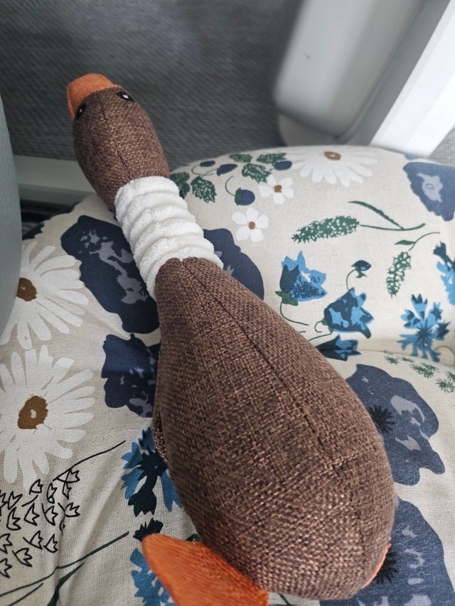 이미지를 찾을 수 없습니다.