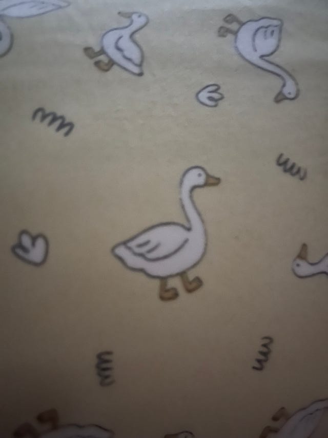 이미지를 찾을 수 없습니다.