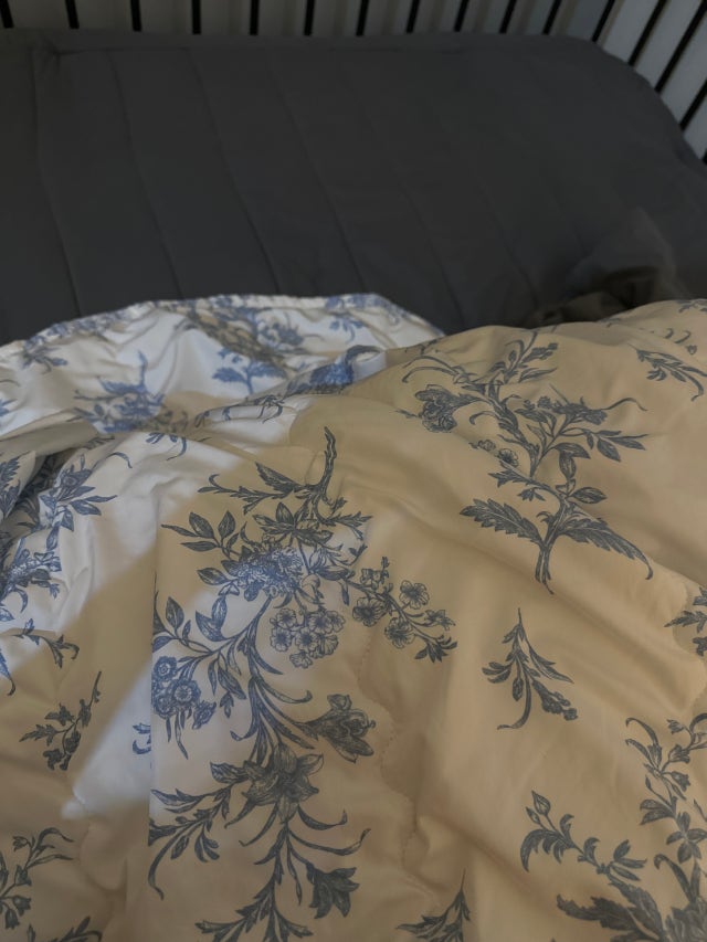 이미지를 찾을 수 없습니다.