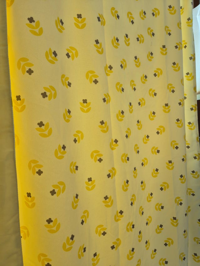 이미지를 찾을 수 없습니다.