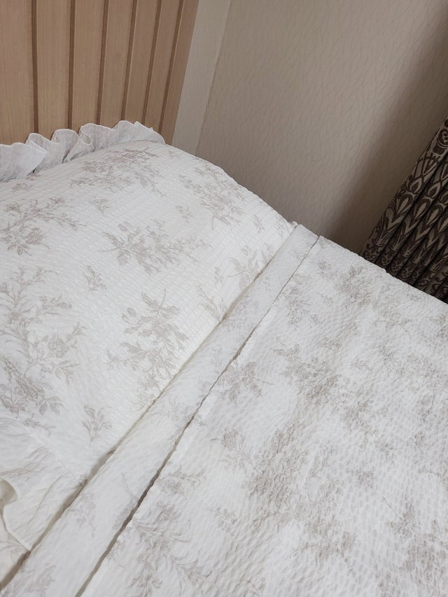 이미지를 찾을 수 없습니다.