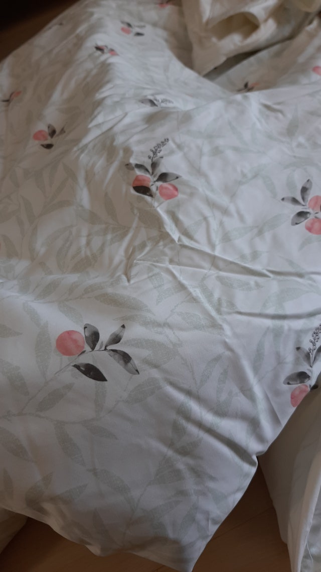 이미지를 찾을 수 없습니다.