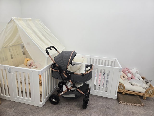 이미지를 찾을 수 없습니다.