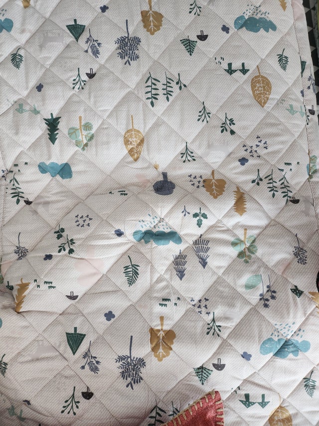 이미지를 찾을 수 없습니다.