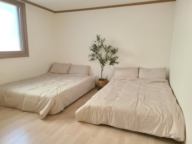 이미지를 찾을 수 없습니다.